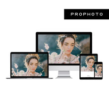 Load image into Gallery viewer, Fiolent ProPhoto 7 Template